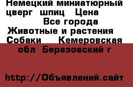 Немецкий миниатюрный(цверг) шпиц › Цена ­ 50 000 - Все города Животные и растения » Собаки   . Кемеровская обл.,Березовский г.